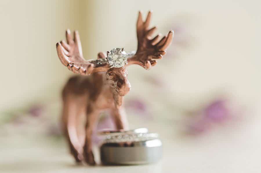 Emerald Lake Wedding ring shot