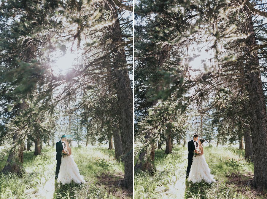 micro wedding in the mountains on a sunny day in Banff National Park magical woodland wedding with gorgeous light