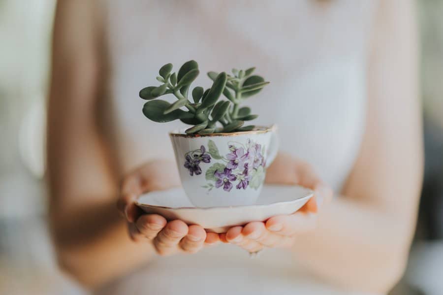 Bow Valley Ranche wedding Calgary intimate reception details with teacups & succulents wedding decor