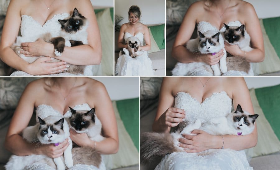 Canmore Wedding bride getting ready portraits with cats