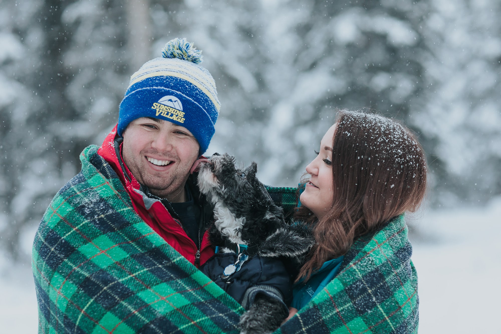 Banff snowy engagement photography with dog