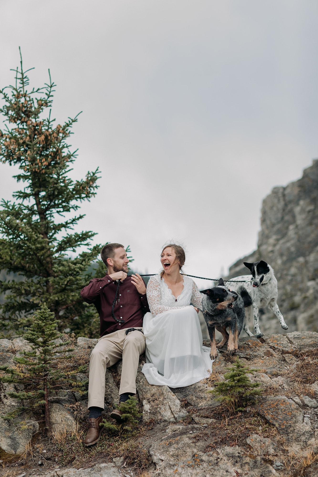Canmore Elopement Planner photographer kananaskis bride groom photos dogs