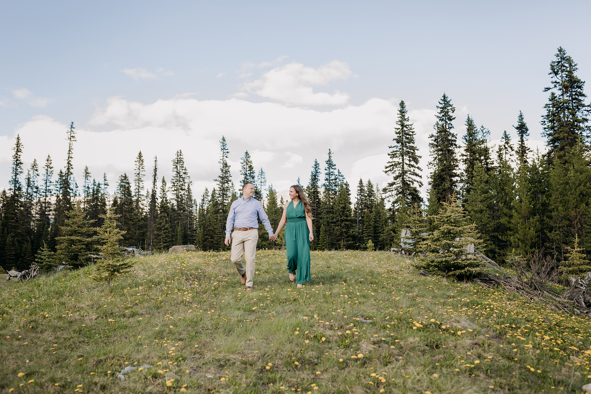 Grizzly Bears in Lake Louise crash summer mountain engagement photos in a meadow of dandelions