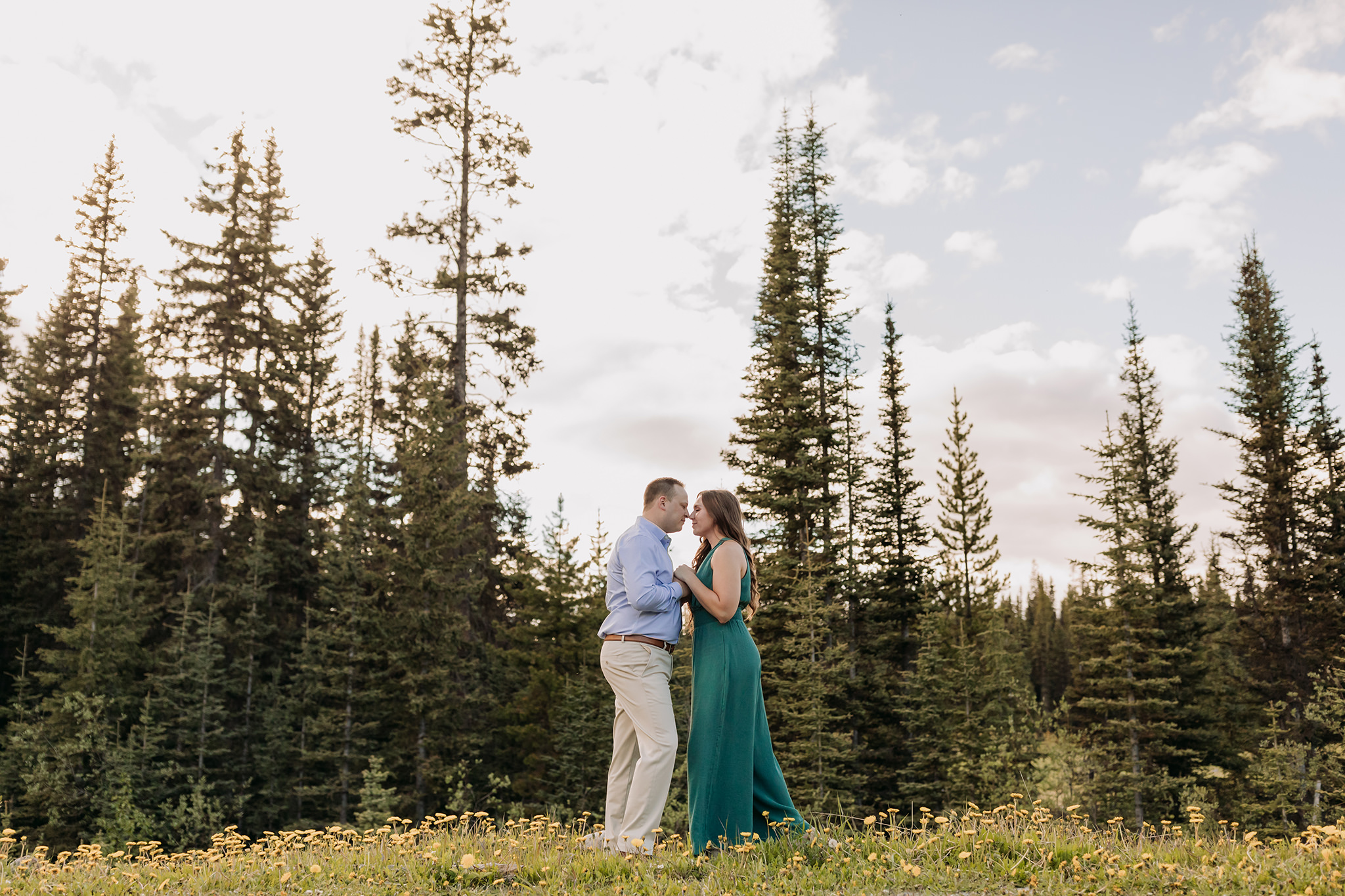Grizzly Bears in Lake Louise crash summer mountain engagement photos in a meadow of dandelions